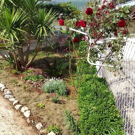 Guesthouse Djurisic แฮร์เซ็ก-โนวี ภายนอก รูปภาพ