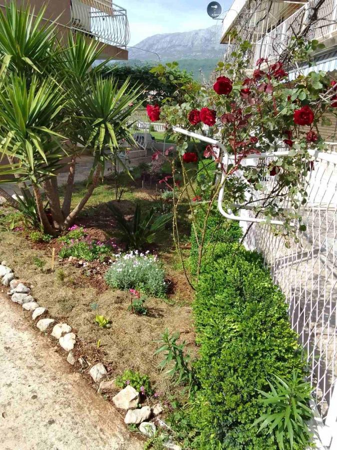 Guesthouse Djurisic แฮร์เซ็ก-โนวี ภายนอก รูปภาพ